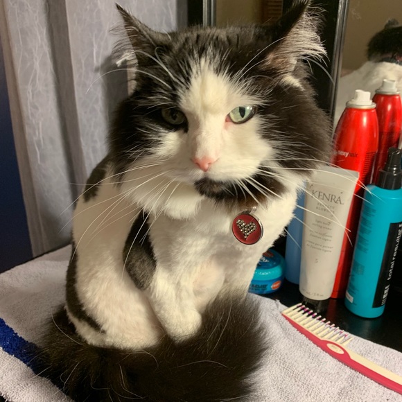 Meet your Posher, Kim - Picture 4 of 16